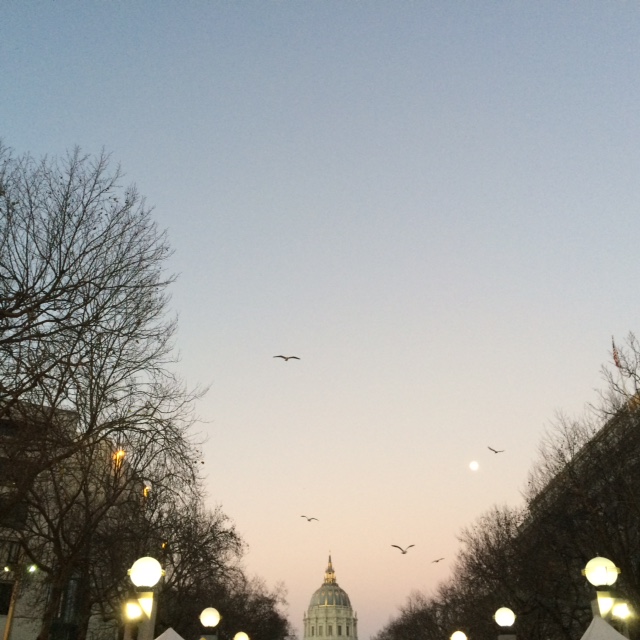 My morning walk to work